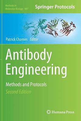 Antibody Engineering 1