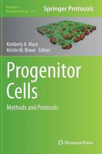 bokomslag Progenitor Cells