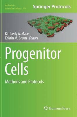 Progenitor Cells 1