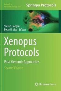 bokomslag Xenopus Protocols