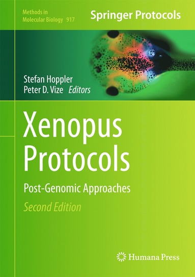 bokomslag Xenopus Protocols