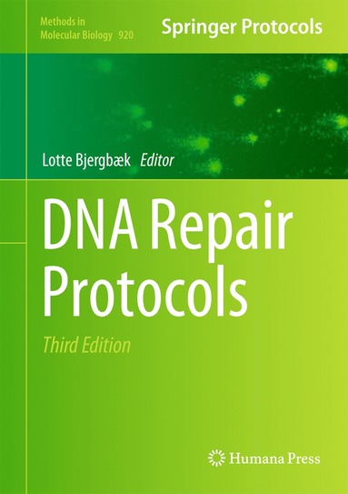 bokomslag DNA Repair Protocols