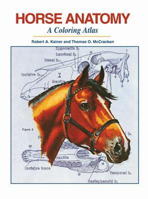 Horse Anatomy: A Coloring Atlas 1