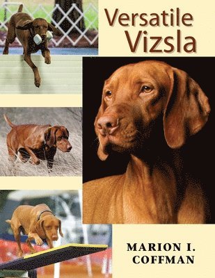 bokomslag Versatile Vizsla