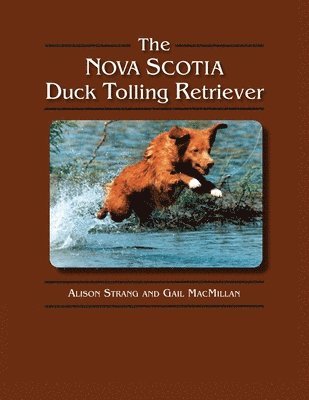 Gail MacMillan, Alison Strang - The Nova Scotia Duck Tolling Retriever, Häftad