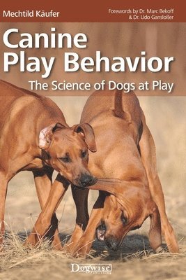 Canine Play Behavior 1