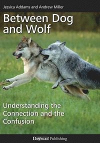 bokomslag Between Dog and Wolf