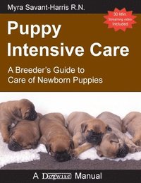 bokomslag Puppy Intensive Care