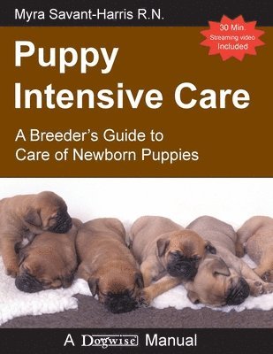 Puppy Intensive Care 1