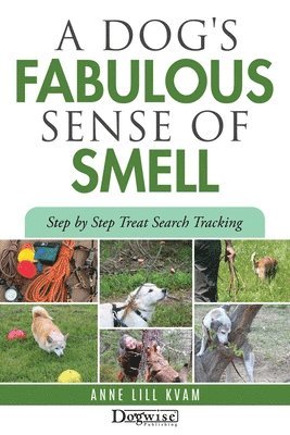 A Dog's Fabulous Sense of Smell 1