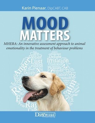 bokomslag Mood Matters - MHERA