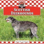 bokomslag Scottish Deerhounds