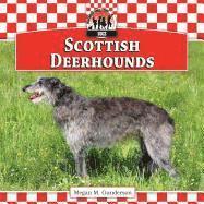 Scottish Deerhounds 1