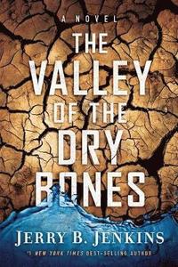 bokomslag THE VALLEY OF DRY BONES