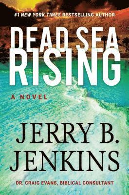 bokomslag Dead Sea Rising