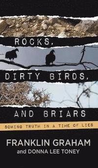 bokomslag ROCKS, DIRTY BIRDS, AND BRIARS