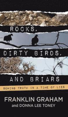 bokomslag ROCKS, DIRTY BIRDS, AND BRIARS