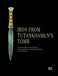 bokomslag Iron from Tutankhamun's Tomb
