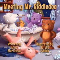 bokomslag Meeting Mr. Biddledoo