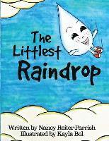 bokomslag The Littlest Raindrop