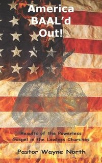 bokomslag America Baal'd Out: Results of the Powerless Gospel in the Lawless Churches