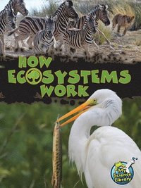bokomslag How Ecosystems Work