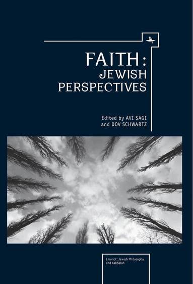 Dov Schwartz, Avi Sagi - Faith, Inbunden