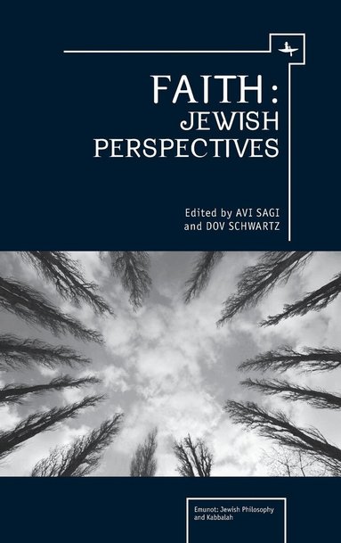 Dov Schwartz, Avi Sagi - Faith, Häftad