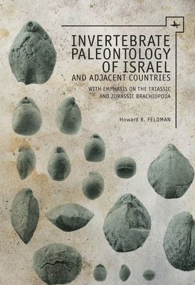 bokomslag Invertebrate Paleontology (Mesozoic) of Israel and Adjacent Countries with Emphasis on the Brachiopoda