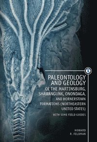 bokomslag Paleontology and Geology of the Martinsburg, Shawangunk, Onondaga, and Hornerstown Formations (Northeastern United States) with Some Field Guides