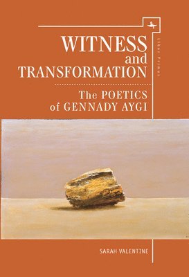 bokomslag Witness and Transformation