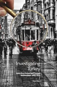 bokomslag Investigating Turkey