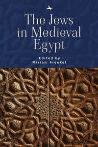 bokomslag The Jews in Medieval Egypt