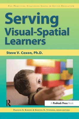 Serving Visual-spatial Learners 1