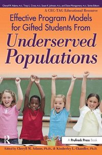 bokomslag Effective Program Models For Gifted Students From Underserved Populations