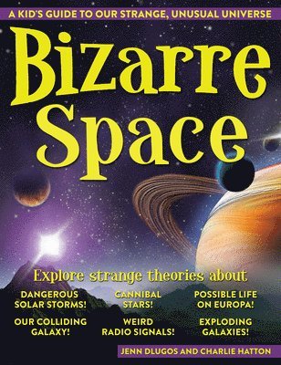 bokomslag Bizarre Space