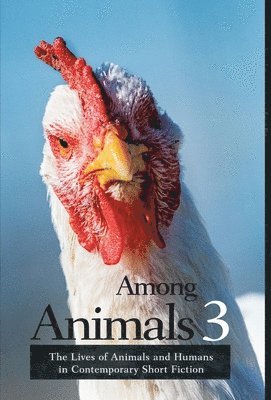 bokomslag Among Animals 3