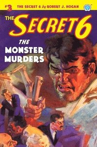 bokomslag The Secret 6 #3: The Monster Murders