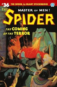 bokomslag Spider #36