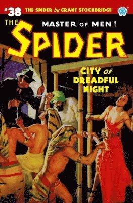 bokomslag The Spider #38