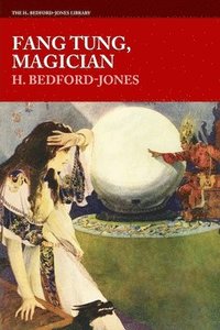 bokomslag Fang Tung, Magician