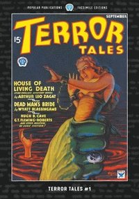 bokomslag Terror Tales #1