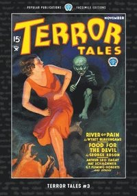 bokomslag Terror Tales #3