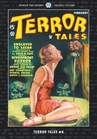 bokomslag Terror Tales #6
