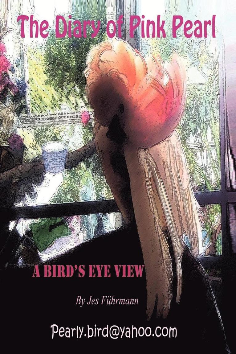 The Diary of Pink Pearl - A Bird's Eye View 1