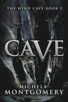 bokomslag Cave