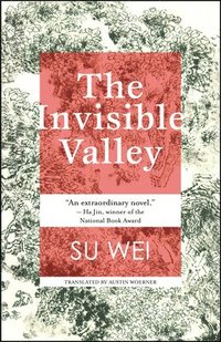 bokomslag The Invisible Valley