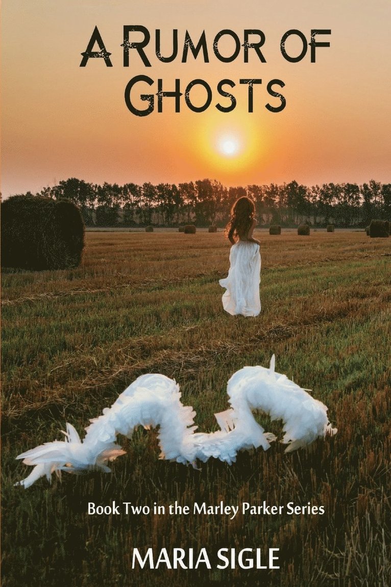 Marley Parker A Rumor of Ghosts 1