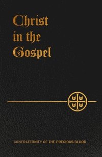 bokomslag Christ in the Gospel