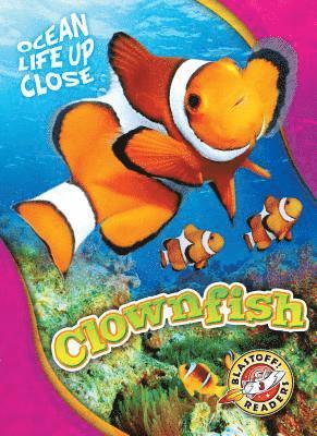 Kari Schuetz - Clownfish, Häftad